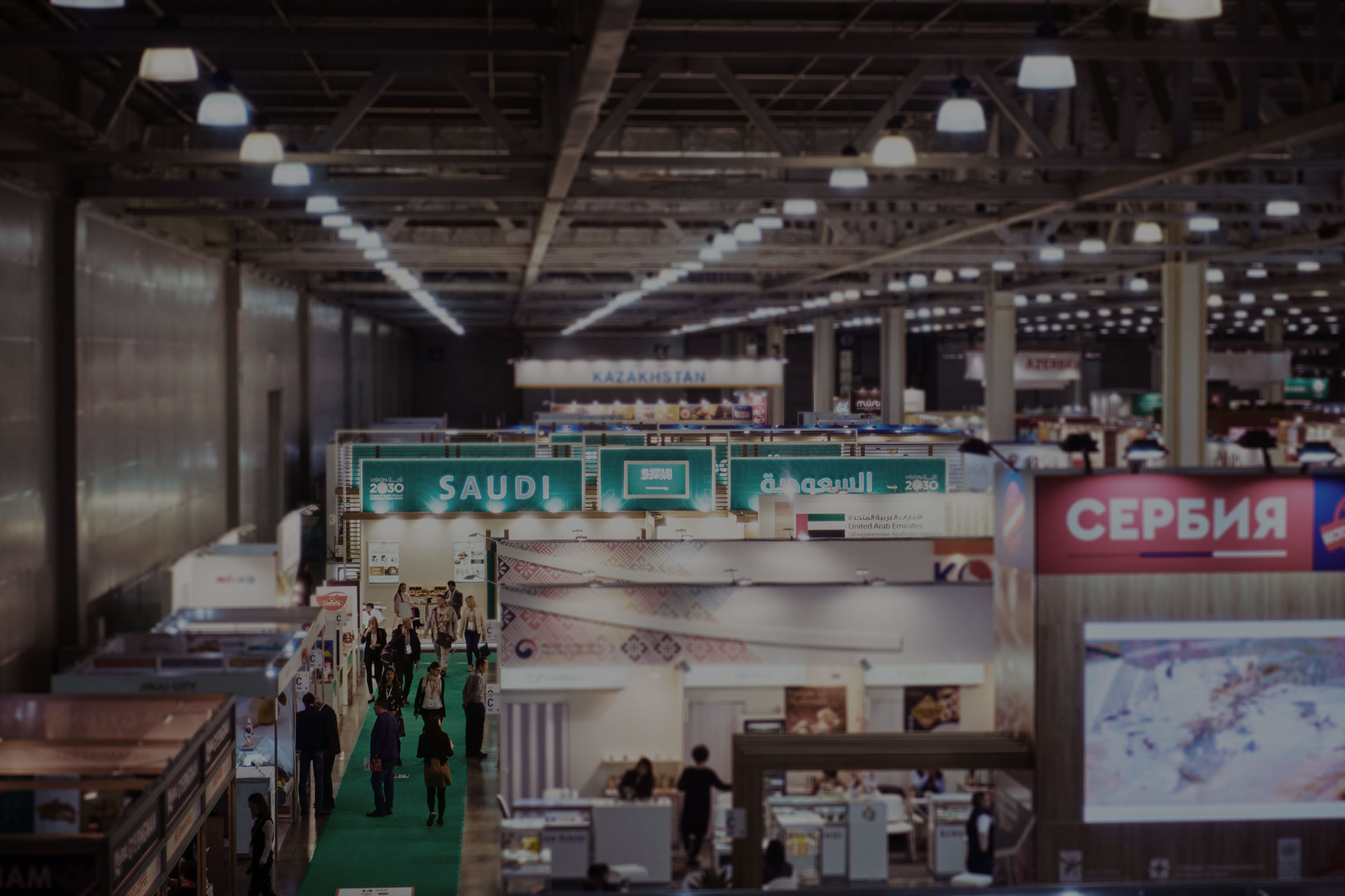 Exhibitions